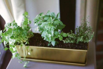 How to Make a Windowsill Herb Garden