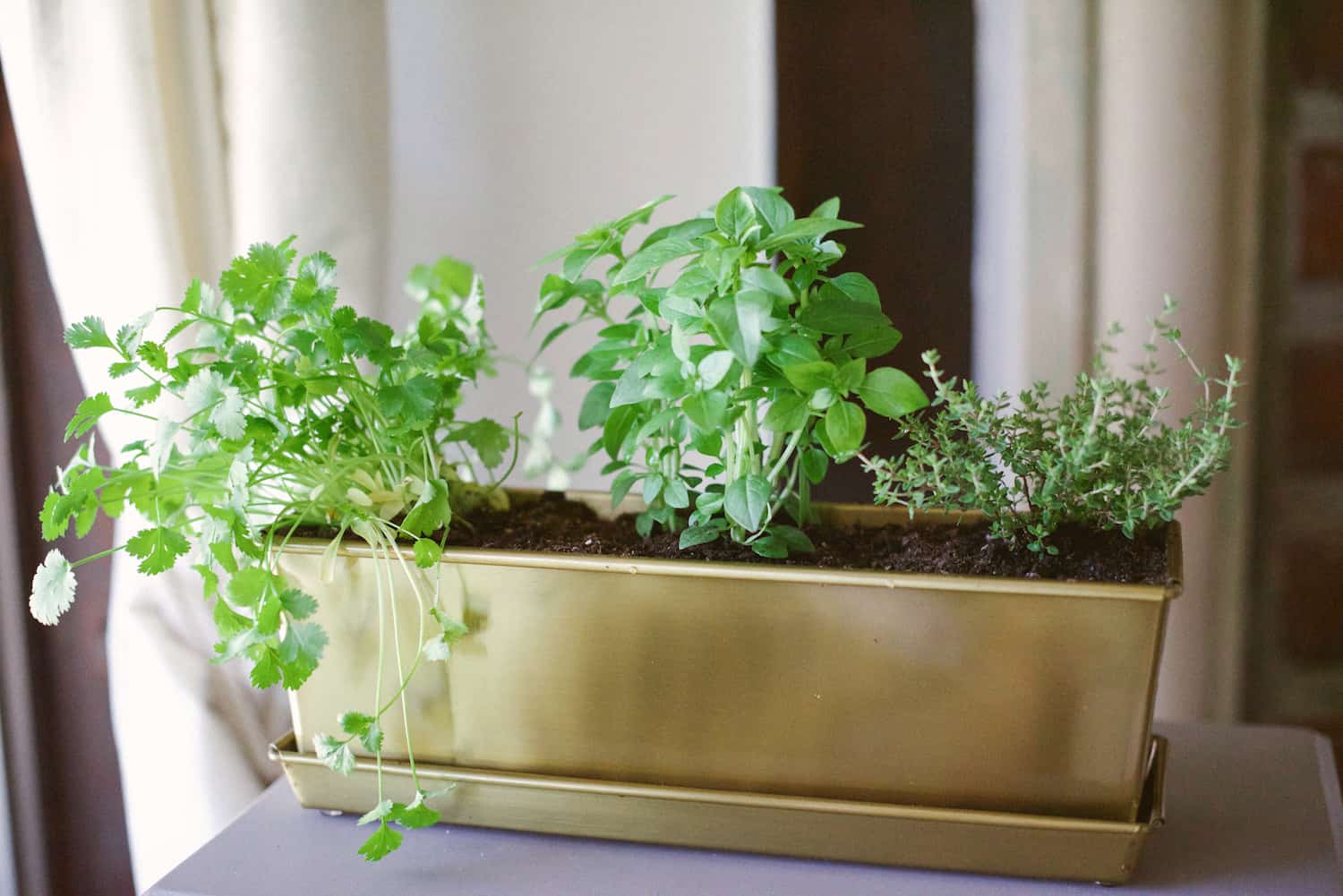 How to Make a Windowsill Herb Garden Darling Down South