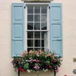 How to Plant a Window Box Garden