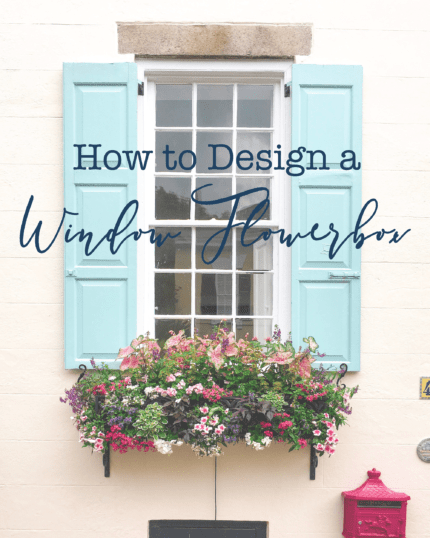 How to Design a Windowsill Flower Box