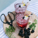 The FizzleBerry Cocktail