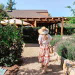 Experience Napa Valley with a Food & Wine Pairing at Cakebread Cellars