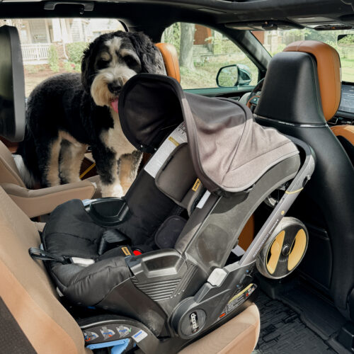 best infant car seat best toddler car seat